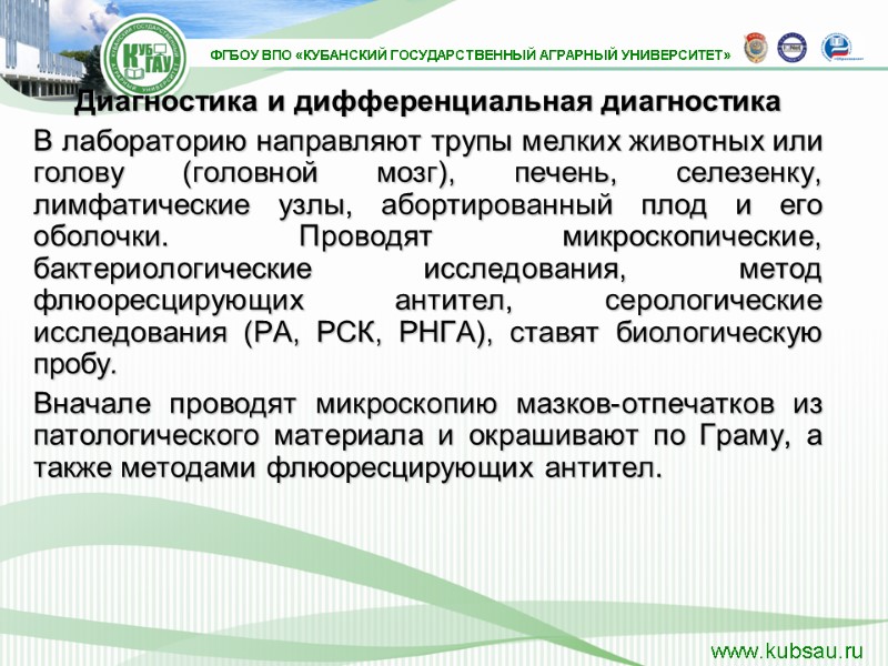 Диагностика и дифференциальная диагностика В лабораторию направляют трупы мелких животных или голову (головной мозг),